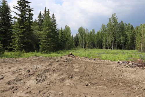 53428 A Range Road 170, Edson, AB 