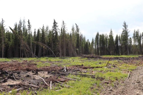 53428 A Range Road 170, Edson, AB 