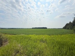 Lot 1 Township Road 663  Rural Athabasca County, AB T9S 1L4