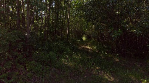 Westview Drive, Athabasca, AB 