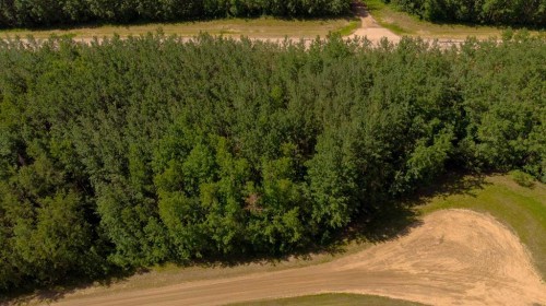 Westview Drive, Athabasca, AB 