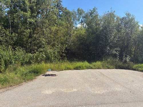 2607 Saskatoon Lane, Wabasca, AB 