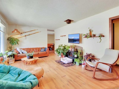 252 Three Sisters Drive, Canmore, AB - Indoor Photo Showing Living Room