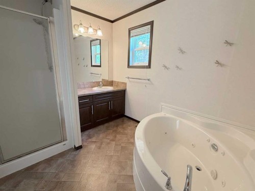 670051A Highway 813, Rural Athabasca County, AB - Indoor Photo Showing Bathroom