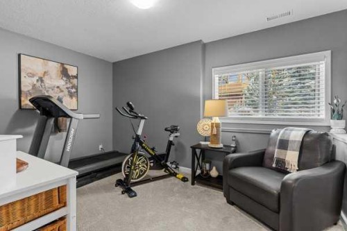 101 Wapiti Close, Canmore, AB - Indoor Photo Showing Gym Room