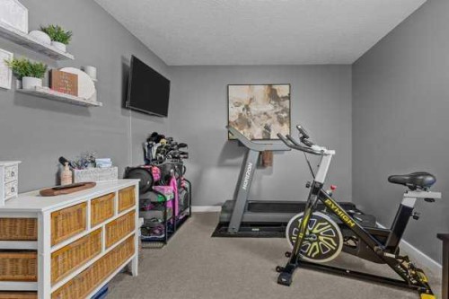 101 Wapiti Close, Canmore, AB - Indoor Photo Showing Gym Room