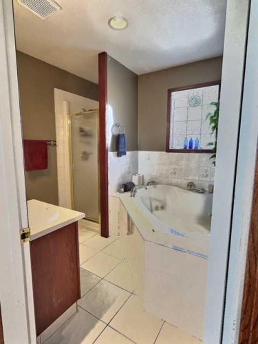 800 Connaught Drive, Jasper, AB - Indoor Photo Showing Bathroom