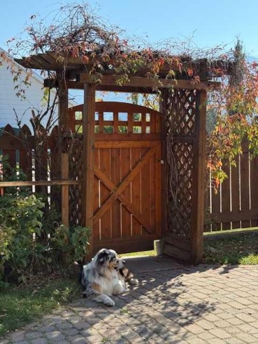 800 Connaught Drive, Jasper, AB - Outdoor