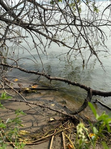 1121 Baptiste Drive, West Baptiste, AB 