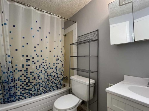 #2-506 41 Street, Edson, AB - Indoor Photo Showing Bathroom