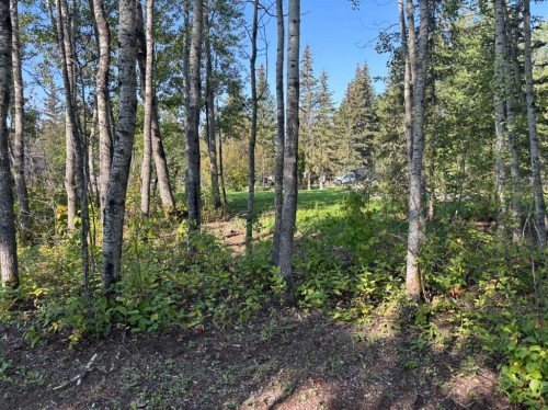 #226-660022 - Range Road 225.5 (Unit 35), Athabasca, AB 