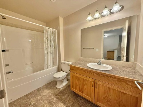 305-109 Seabolt Drive, Hinton, AB - Indoor Photo Showing Bathroom