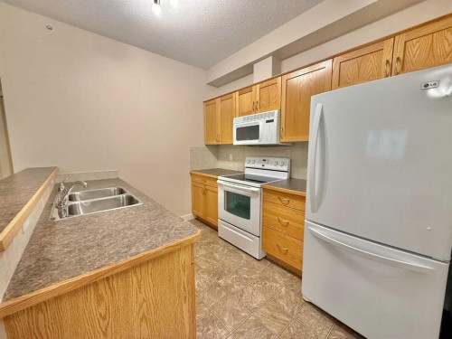 305-109 Seabolt Drive, Hinton, AB - Indoor Photo Showing Kitchen With Double Sink