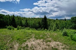 Lot 19 Mountain Springs  Rural Woodlands County, AB T7S 1N3