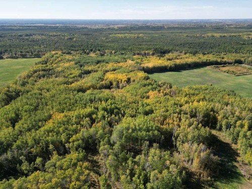 640052 Range Road 233, Rural Athabasca County, AB - Outdoor With View