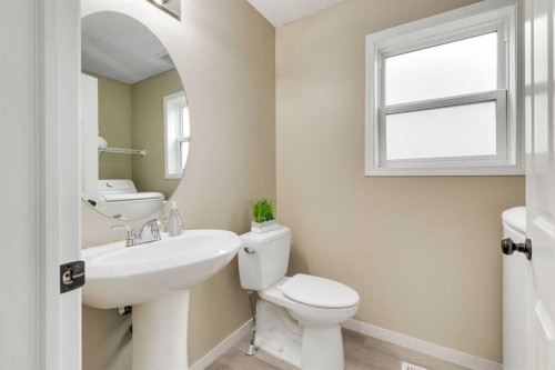 67 Saddlebrook Place Ne, Calgary, AB - Indoor Photo Showing Bathroom