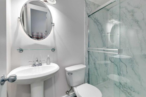 67 Saddlebrook Place Ne, Calgary, AB - Indoor Photo Showing Bathroom
