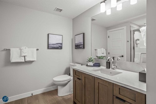 1217-200 2 Avenue, Dead Man'S Flats, AB - Indoor Photo Showing Bathroom