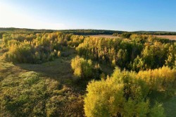 Lot 2, Willowside Estates  Rural Woodlands County, AB T0E 1N0
