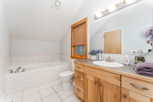 2-300 Eagle Terrace Road, Canmore, AB - Indoor Photo Showing Bathroom