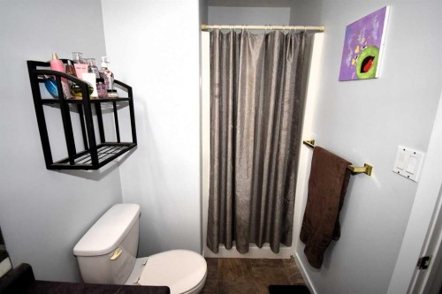 309 Eaton Drive, Hinton, AB - Indoor Photo Showing Bathroom