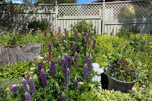 34 Hollinger Drive, Swan Hills, AB - Outdoor