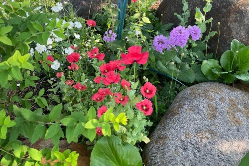 34 Hollinger Drive, Swan Hills, AB - Outdoor