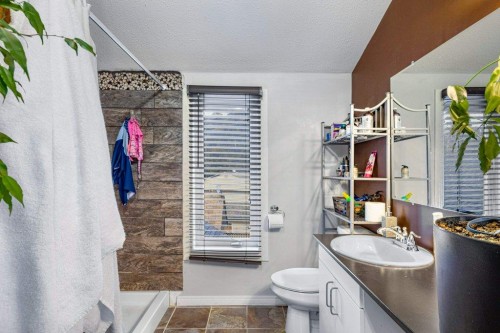 412 Cougar Street, Banff, AB - Indoor Photo Showing Bathroom