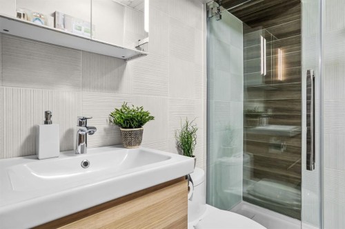 9-504 Banff Avenue West, Banff, AB - Indoor Photo Showing Bathroom