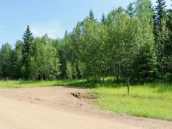 Lot 3 Part of NW-33-65-22-W4  Rural Athabasca County, AB T9S 2A5