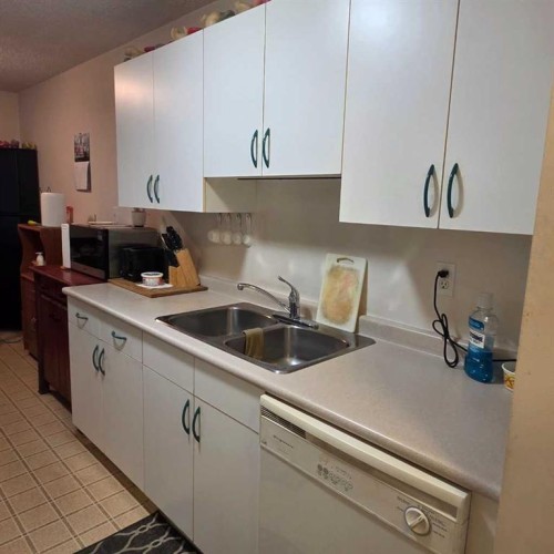 105A-5611 10 Avenue, Edson, AB - Indoor Photo Showing Kitchen With Double Sink