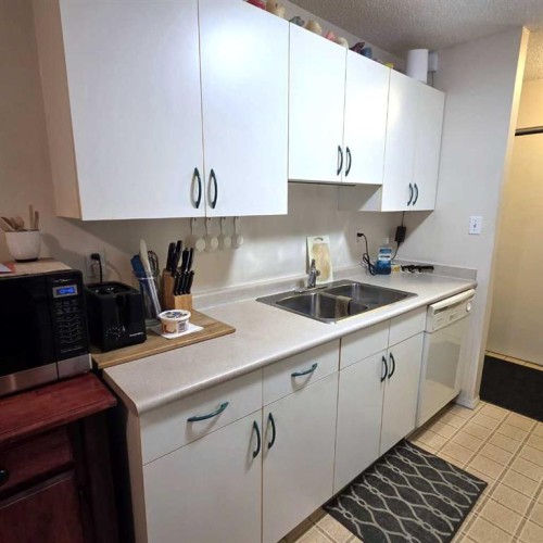 105A-5611 10 Avenue, Edson, AB - Indoor Photo Showing Kitchen With Double Sink