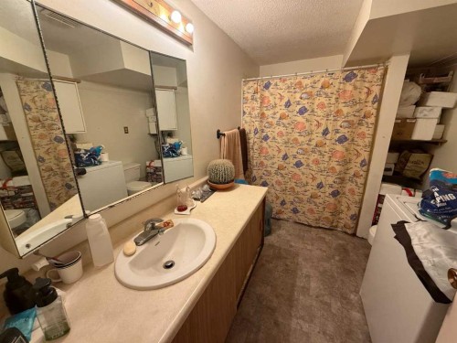 120 Reimer Drive, Hinton, AB - Indoor Photo Showing Bathroom