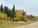 Lot 1 Mountain Springs, Rural Woodlands County, AB 