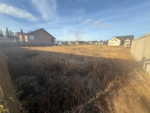 208 Trestle Place, Hinton, AB 