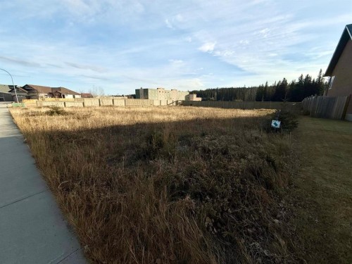 208 Trestle Place, Hinton, AB 