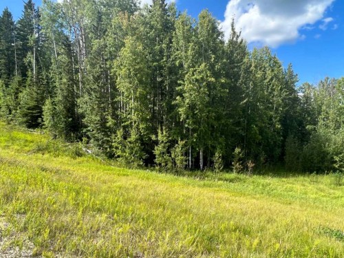 #43 River Ridge Estates, Rural Yellowhead County, AB 