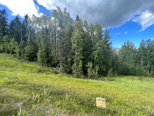 #43 River Ridge Estates, Rural Yellowhead County, AB 