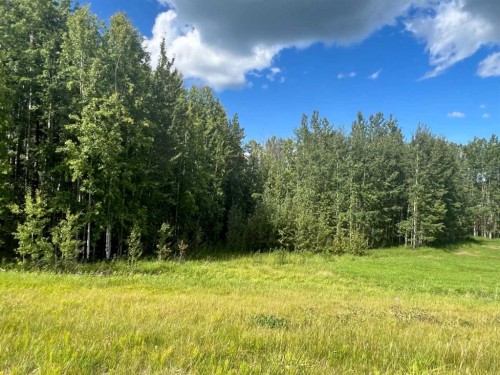 #43 River Ridge Estates, Rural Yellowhead County, AB 