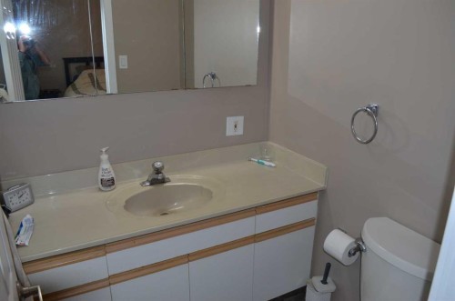 4803 45 Avenue, Athabasca, AB - Indoor Photo Showing Bathroom
