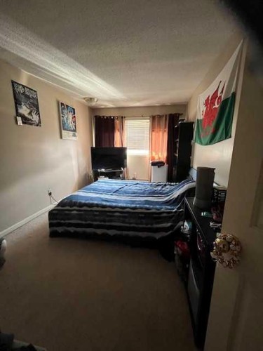 13-11219 103A Avenue Nw, Edmonton, AB - Indoor Photo Showing Bedroom