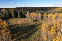 Lot 5 114046 Township 590  Rural Woodlands County, AB T7S 0A1