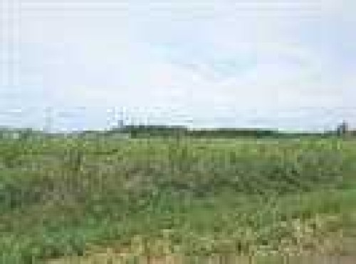 2010 Prospect Drive, Wabasca, AB 