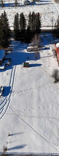 1723 63 Street, Edson, AB 