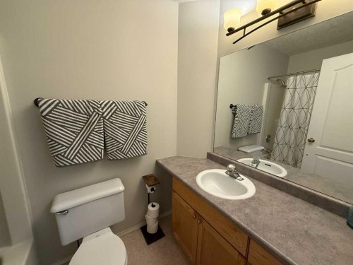 110 Parker Place, Hinton, AB - Indoor Photo Showing Bathroom