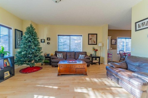 142 West Pointe Circle, Cochrane, AB - Indoor Photo Showing Living Room
