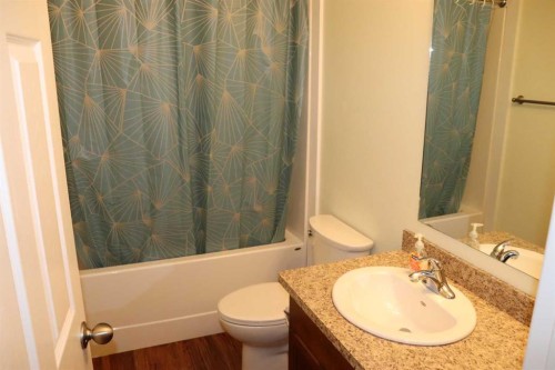 54019C Range Road 165, Rural Yellowhead County, AB - Indoor Photo Showing Bathroom