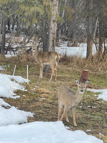 87, 231054 Township Road 623A, Rural Athabasca County, AB - Outdoor With View