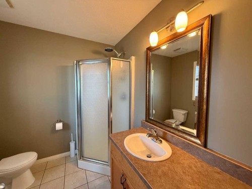 294 Tocher Avenue, Hinton, AB - Indoor Photo Showing Bathroom
