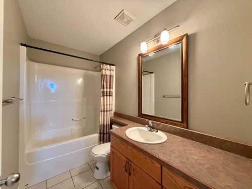 294 Tocher Avenue, Hinton, AB - Indoor Photo Showing Bathroom